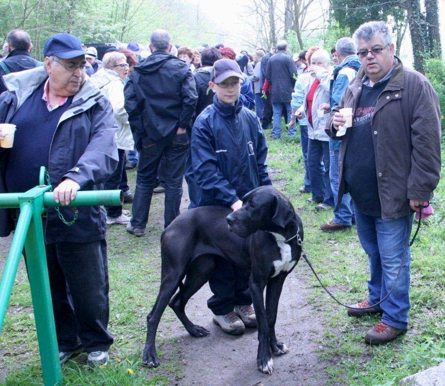 Les marcheurs dans la forêt, le 01/05/2013